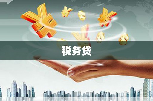定州税务贷