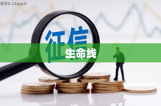 柳林生命线