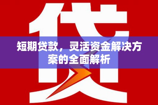 乌来短期贷款，灵活资金解决方案的全面解析