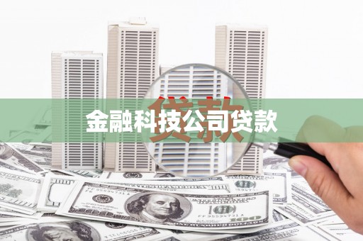 阳新金融科技公司贷款