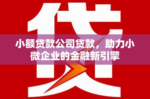 尖石小额贷款公司贷款，助力小微企业的金融新引擎
