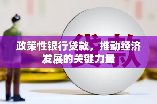 员山政策性银行贷款，推动经济发展的关键力量