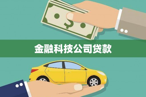 兴和金融科技公司贷款