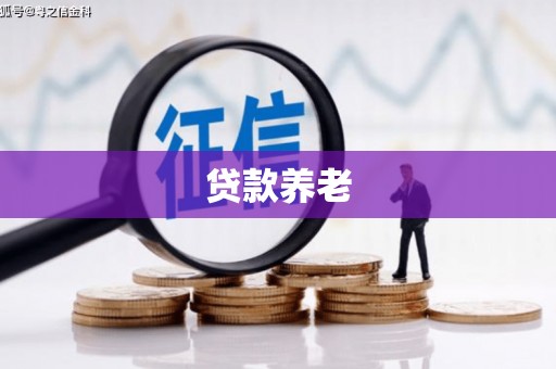丰顺贷款养老