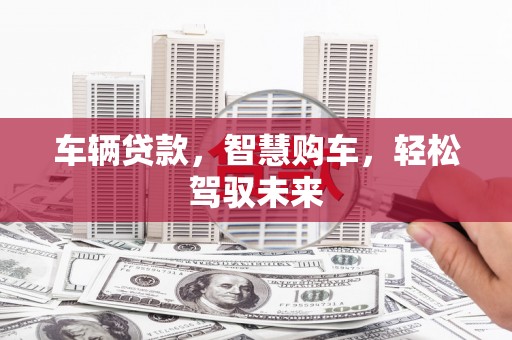 中宁车辆贷款，智慧购车，轻松驾驭未来