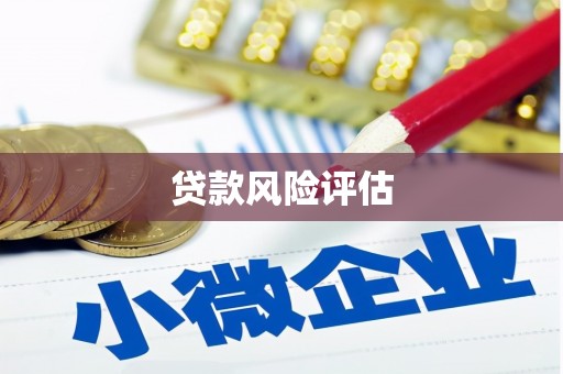 镇江贷款风险评估