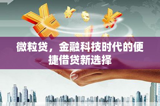 杂多微粒贷，金融科技时代的便捷借贷新选择
