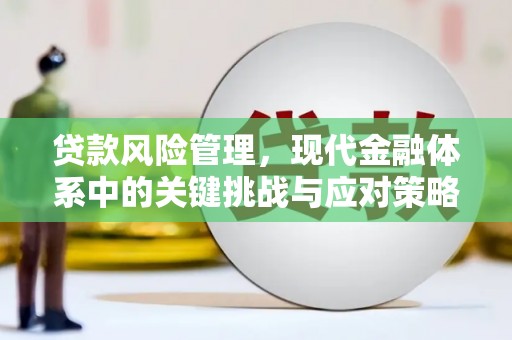 扎鲁特旗贷款风险管理，现代金融体系中的关键挑战与应对策略