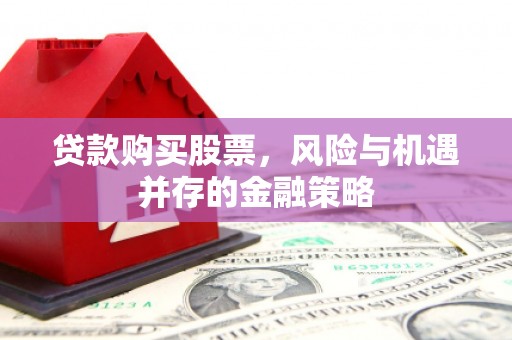 望谟贷款购买股票，风险与机遇并存的金融策略
