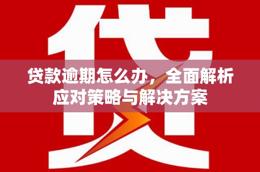 城西贷款逾期怎么办，全面解析应对策略与解决方案