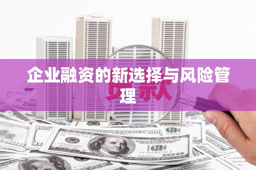 永寿企业融资的新选择与风险管理
