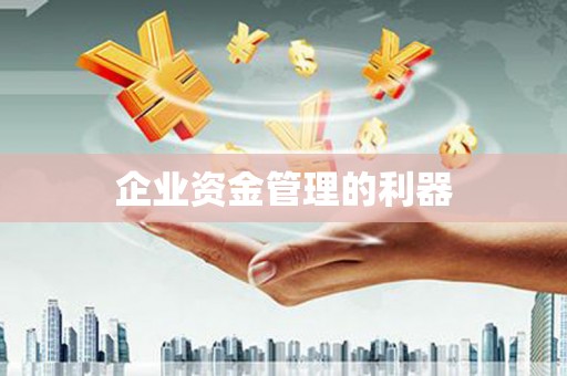 卑南企业资金管理的利器